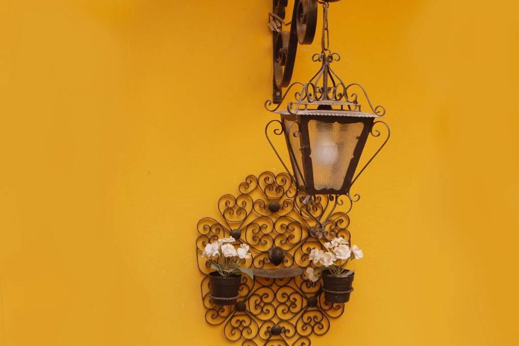 Cedofeita Village Holiday home Porto
